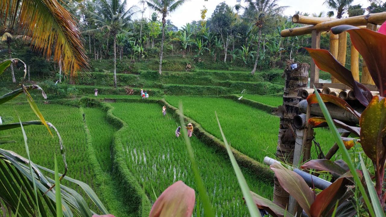 Ferienwohnung Bale Kembang Kuning Tetebatu Exterior foto